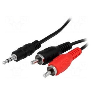 Cable | Jack 3.5mm plug,RCA plug x2 | 3m | black