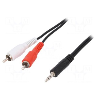 Cable | Jack 3.5mm plug,RCA plug x2 | 5m | black