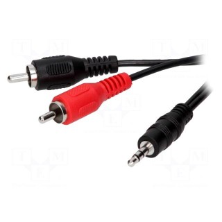 Cable | Jack 3.5mm plug,RCA plug x2 | 5m | black