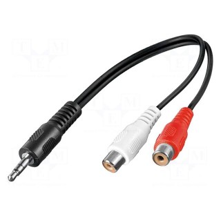 Cable | Jack 3.5mm plug,RCA socket x2 | 0.2m