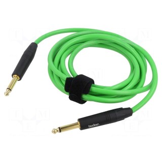 Cable | Jack 6,3mm 2pin plug,both sides | 3m | green | 0.25mm2