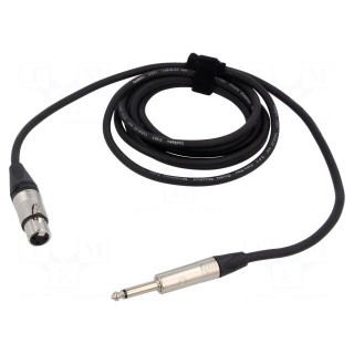 Cable | Jack 6,3mm 2pin plug,XLR female 3pin | 3m | black | PVC