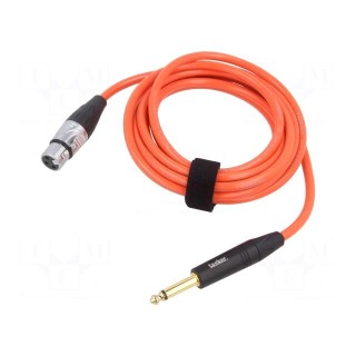 Cable | Jack 6,3mm 2pin plug,XLR female 3pin | 3m | orange | 0.25mm2