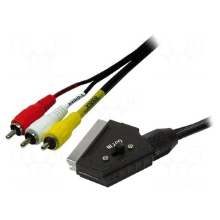 Cable | RCA plug x3,SCART plug | 2m | black
