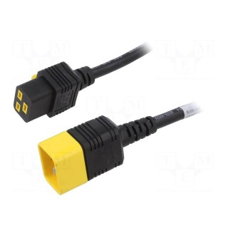 Cable | 3x1.5mm2 | 3x14AWG | IEC C19 female,IEC C20 male | PVC | 3m