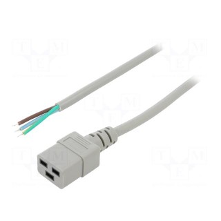 Cable | 3x1.5mm2 | IEC C19 female,wires | PVC | Len: 1.5m | grey | 16A