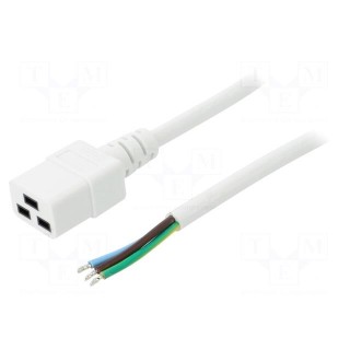 Cable | 3x1.5mm2 | IEC C19 female,wires | PVC | Len: 1.5m | white | 16A