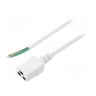 Cable | 3x1.5mm2 | IEC C19 female,wires | PVC | Len: 1.8m | white | 16A