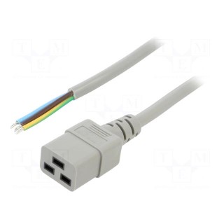 Cable | 3x1.5mm2 | IEC C19 female,wires | PVC | Len: 2m | grey | 16A | 250V