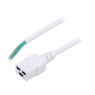 Cable | 3x1.5mm2 | IEC C19 female,wires | PVC | Len: 2m | white | 16A