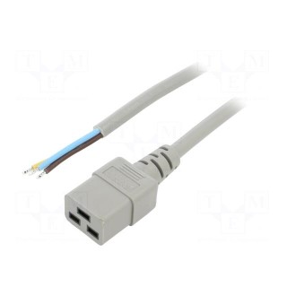Cable | 3x1.5mm2 | IEC C19 female,wires | PVC | Len: 3m | grey | 16A | 250V