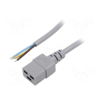 Cable | 3x1.5mm2 | IEC C19 female,wires | PVC | Len: 5m | grey | 16A | 250V