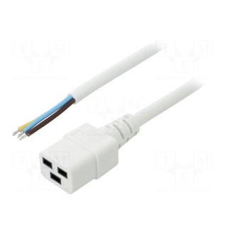 Cable | 3x1.5mm2 | IEC C19 female,wires | PVC | Len: 5m | white | 16A