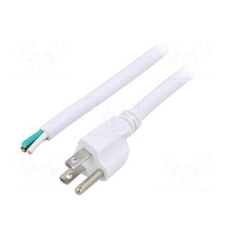 Cable | 3x14AWG | NEMA 5-15 (B) plug,wires | PVC | 5m | white | 13A | 125V