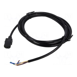 Cable | 3x18AWG | IEC C13 female,wires | PVC | 3m | black | 10A | 250V