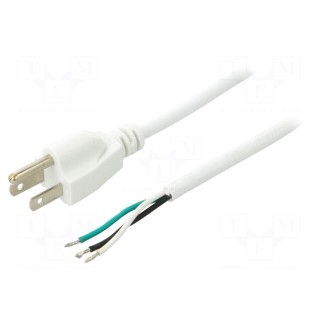 Cable | 3x18AWG | NEMA 5-15 (B) plug,wires | PVC | 2m | white | 10A | 125V