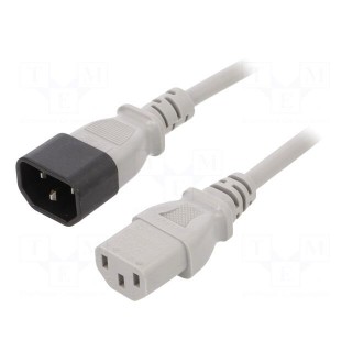 Cable | 3x1mm2 | IEC C13 female,IEC C14 male | PVC | 1.8m | grey | 10A