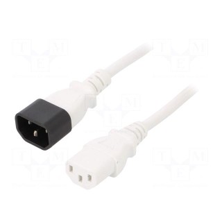 Cable | 3x1mm2 | IEC C13 female,IEC C14 male | PVC | 1.8m | white | 10A