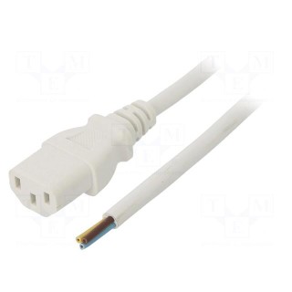 Cable | 3x1mm2 | IEC C13 female,wires | PVC | 1m | white | 10A | 250V