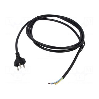 Cable | 3x1mm2 | wires,SEV-1011 (J) plug | PVC | 2.5m | black | 10A | 250V
