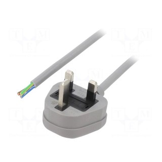 Cable | 3x1mm2 | BS 1363 (G) plug,wires | PVC | 1m | grey | 13A | 250V