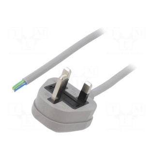 Cable | 3x1mm2 | BS 1363 (G) plug,wires | PVC | 5m | grey | 13A | 250V