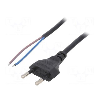 Cable | 2x0.75mm2 | CEE 7/16 (C) plug,wires | PVC | 1.5m | flat | black