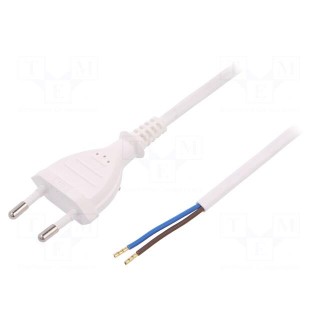 Cable | CEE 7/16 (C) plug,wires | 1m | white | PVC | 2x0,75mm2 | 2.5A
