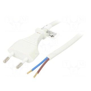 Cable | CEE 7/16 (C) plug,wires | PVC | 1.5m | white | 2.5A | 250V