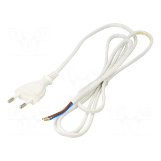 Cable | 2x0.75mm2 | CEE 7/16 (C) plug,wires | PVC | 1.6m | white | 2.5A