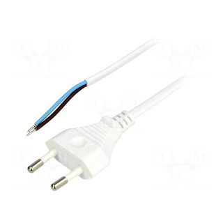 Cable | 2x0.75mm2 | CEE 7/16 (C) plug,wires | PVC | 2.5m | white | 2.5A