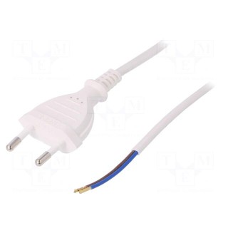 Cable | CEE 7/16 (C) plug,wires | 2m | white | PVC | 2x0,5mm2 | 2.5A
