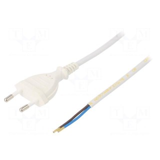 Cable | 2x0.75mm2 | CEE 7/16 (C) plug,wires | PVC | 2m | white | 2.5A