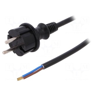 Cable | CEE 7/17 (C) plug,wires | 4m | black | PVC | 2x1,5mm2 | 16A | 250V