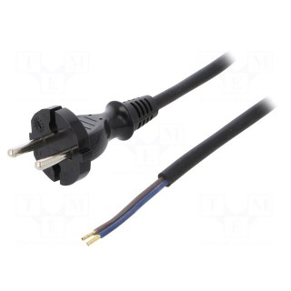 Cable | CEE 7/17 (C) plug,wires | 4m | black | rubber | 2x1mm2 | 16A