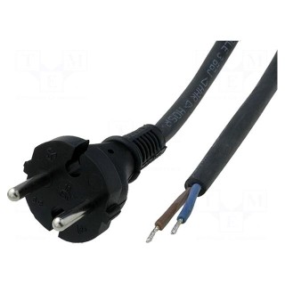 Cable | CEE 7/17 (C) plug,wires | Len: 2m | black | rubber | 2x1,5mm2