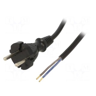 Cable | 2x1mm2 | CEE 7/17 (C) plug,wires | PUR | 3.8m | black | 10A | 230V
