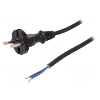 Cable | 2x1mm2 | CEE 7/17 (C) plug,wires | PVC | 1.5m | black | 16A | 250V