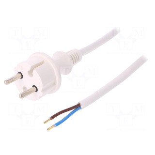 Cable | CEE 7/17 (C) plug,wires | 1.5m | white | PVC | 2x1,5mm2 | 16A