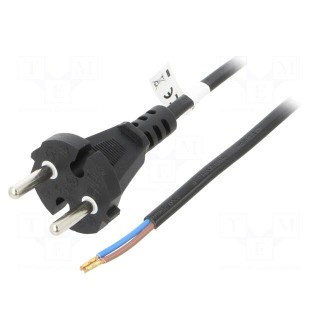 Cable | CEE 7/17 (C) plug,wires | PVC | 10m | black | 16A | 250V