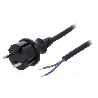 Cable | CEE 7/17 (C) plug,wires | 3m | black | PVC | 2x1mm2 | 16A | 250V
