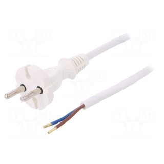 Cable | CEE 7/17 (C) plug,wires | 3m | white | PVC | 2x1mm2 | 16A | 250V