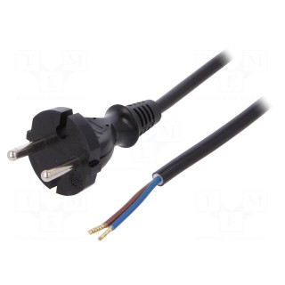 Cable | CEE 7/17 (C) plug,wires | 5m | black | PVC | 2x1mm2 | 16A | 250V