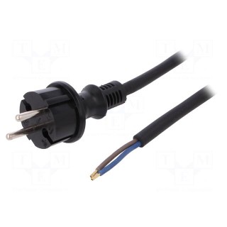 Cable | CEE 7/17 (C) plug,wires | 4.5m | black | rubber | 2x1,5mm2 | 16A