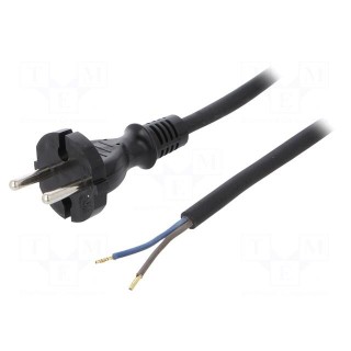 Cable | CEE 7/17 (C) plug,wires | 4m | black | rubber | 2x1mm2 | 16A