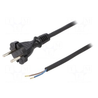 Cable | CEE 7/17 (C) plug,wires | 5m | black | rubber | 2x1mm2 | 16A