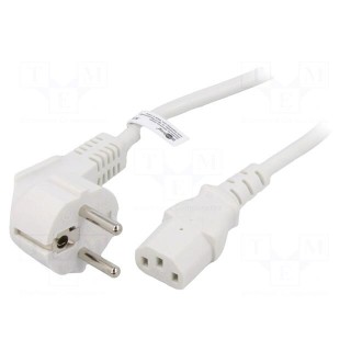 Cable | CEE 7/7 (E/F) plug angled,IEC C13 female | PVC | 2.5m | 10A