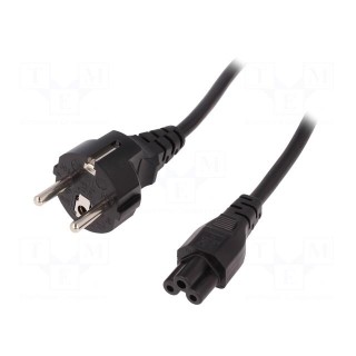 Cable | CEE 7/7 (E/F) plug angled,IEC C5 female | 1.8m | black | 10A