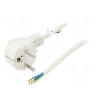 Cable | CEE 7/7 (E/F) plug angled,wires | PVC | 3m | white | 10A | 250V