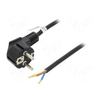Cable | CEE 7/7 (E/F) plug angled,wires | PVC | 5m | black | 10A | 250V